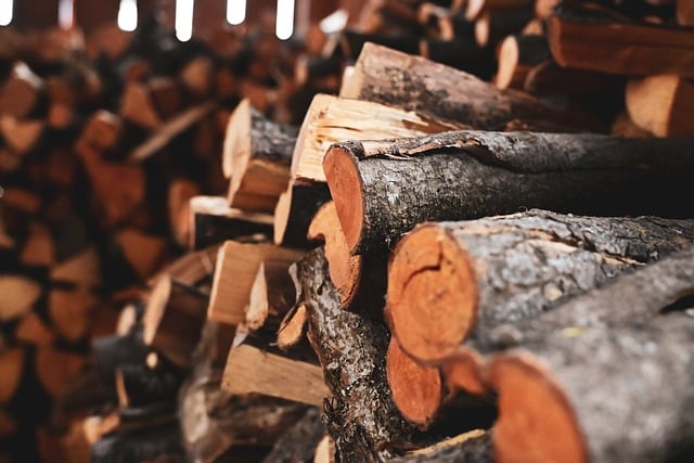 A curated stack of historical botanical texts and field notebooks